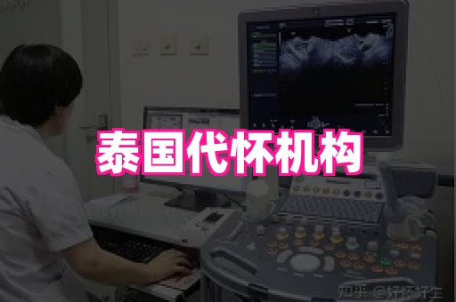 梦美助孕网 1