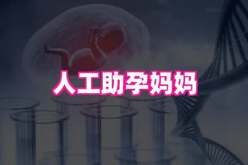 梦美助孕网 3