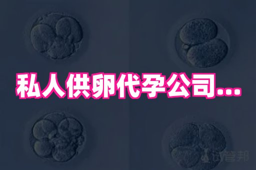 梦美助孕网 4